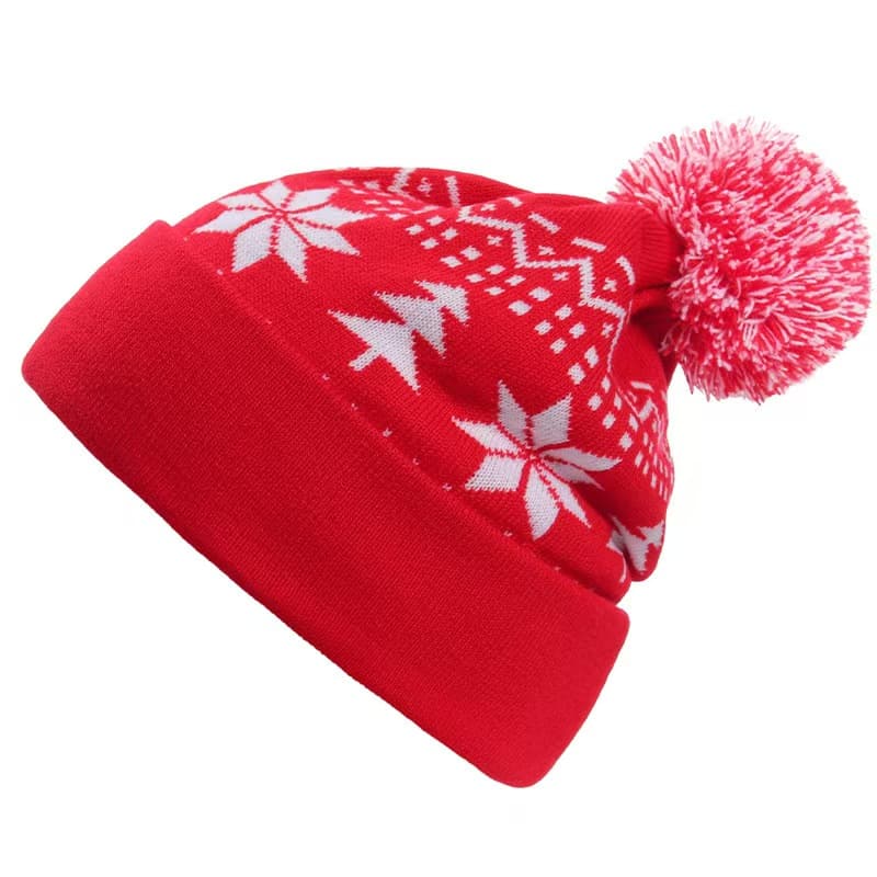 Beanie 15