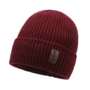 Beanie 17